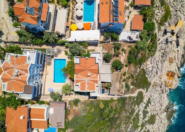 Panorama Meis Suits